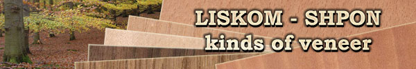 LISKOM-SHPON. Ltd